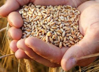 Zákon žatvy platí aj pre poisťovacích agentov